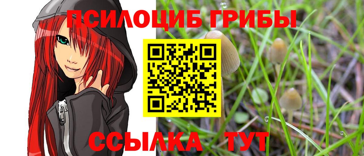 Галлюциногенные грибы Magic Shrooms Выборг