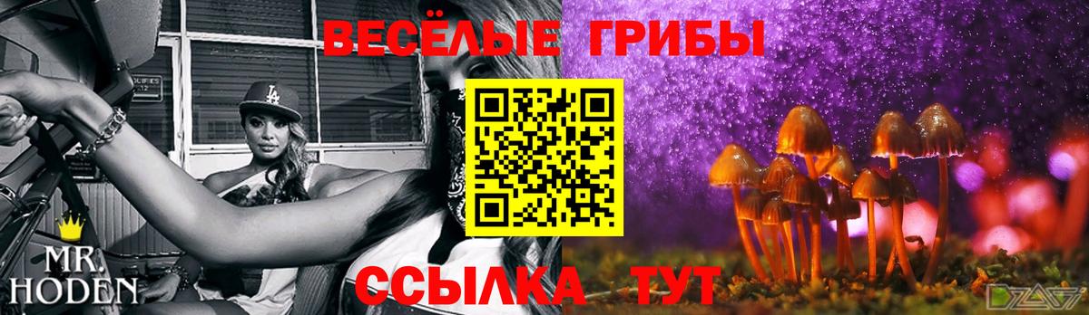 Псилоцибиновые грибы GOLDEN TEACHER  Псилоцибиновые грибы GOLDEN TEACHER  Выборг  Вход с VPN 